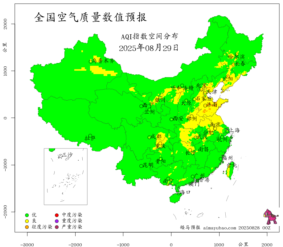 矮马预报